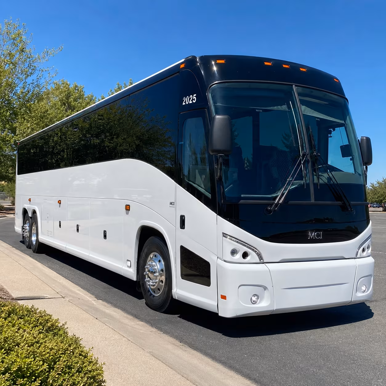 shuttle buses to toad s place for any show night